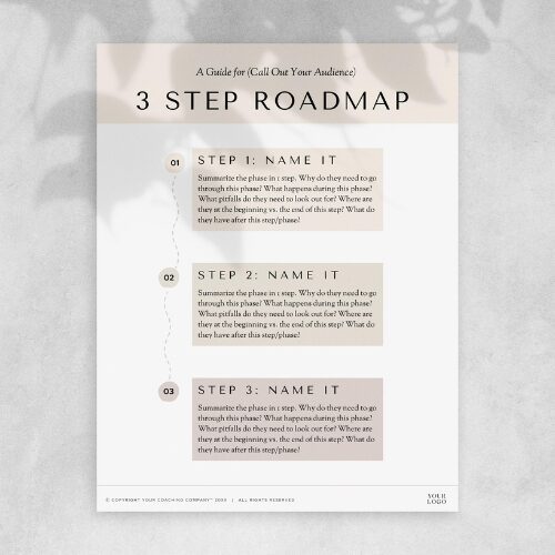 3 Step Roadmap