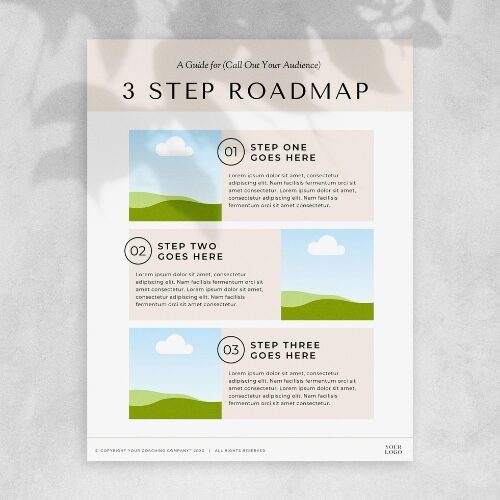3 Step Roadmap